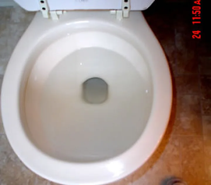 Toilet after cleaning, from a Jean's Cleaning Services job photo