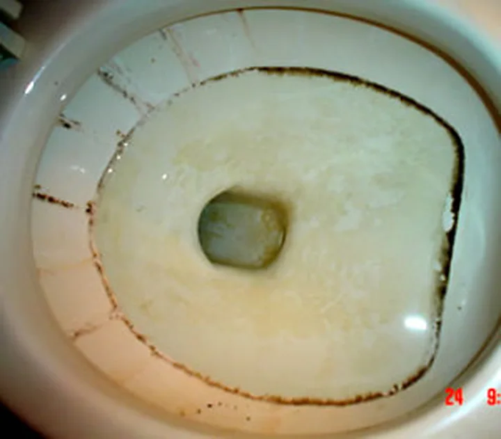 Toilet before cleaning, from a Jean's Cleaning Services job photo
