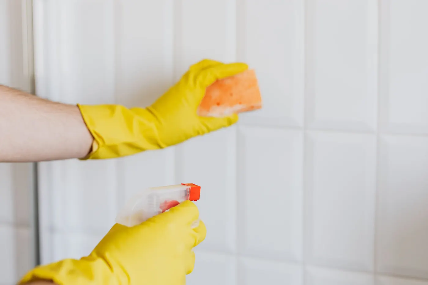 Stock photo of yellow-gloved hands scrubbing white tile with a sponge and spray bottle